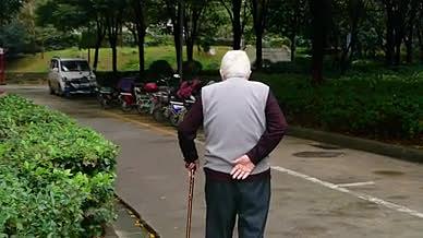 升格老人背影老人走路老人拄拐视频的预览图